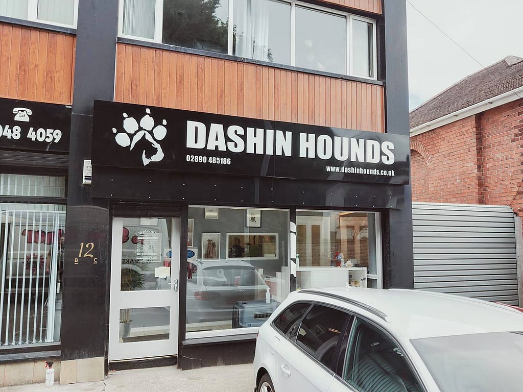 Read more about the article Maintenance For Dashin Hounds